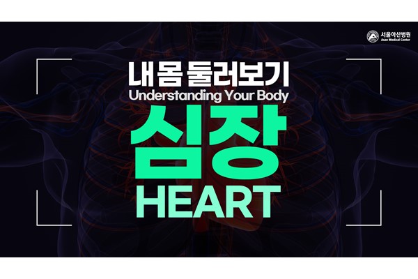 [Understanding Your Body] Heart 